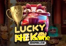 SH7 Game — Lucky Neko slot | Play on Android APK & iPhone for real money | PG Soft